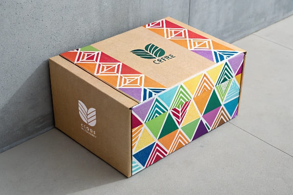 Caixa de papelão colorida com padrões geométricos e marca Cepre, inclinando -se contra uma parede de concreto