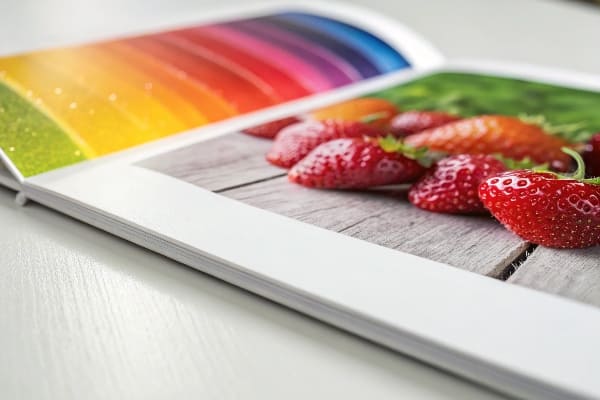 Open brochure with strawberries and color gradient