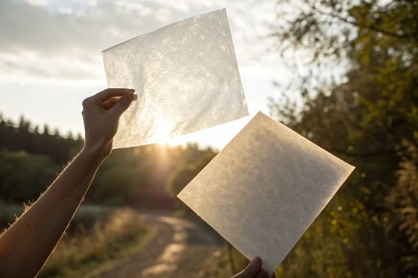 太陽光を背に半透明の紙を持つ手