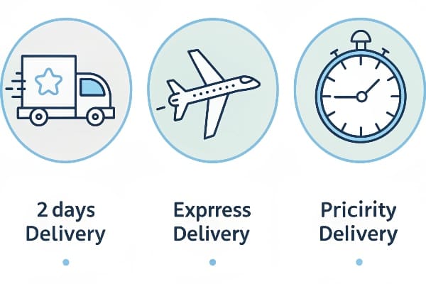Infografía que muestra las opciones de velocidad de entrega, incluidas las urgentes y prioritarias.