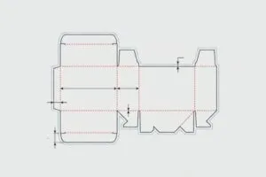 ডাইলাইন কীভাবে পড়তে হয়?