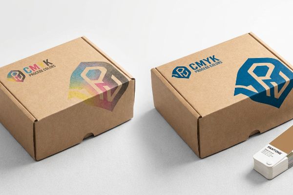 As caixas de papel kraft exibem a identidade visual da Cmyk Process Colors: uma com um logotipo vibrante em meio-tom, a outra com um logotipo em cor sólida azul, ao lado de uma amostra Pantone.