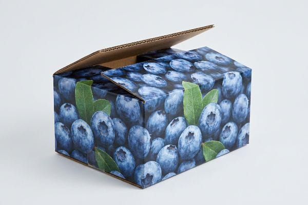 A litho-laminated corrugated box, featuring a vibrant photorealistic blueberry and leaf print, stands with its lid partially open on a white background, showcasing premium retail packaging.