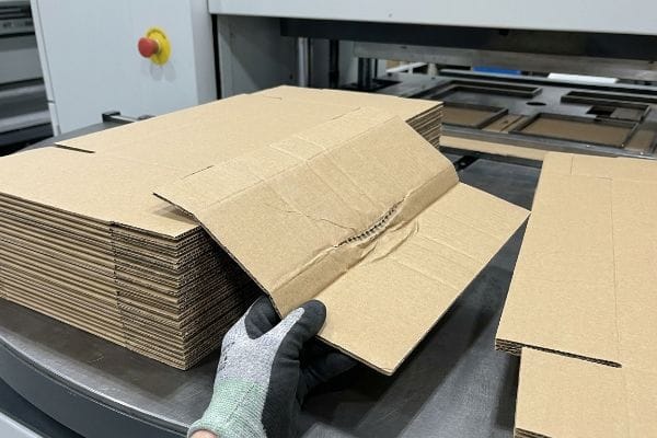 B-flute corrugated cardboard, creased with visible litho-cracking, held by a gloved hand, illustrating uncalibrated tooling issues.