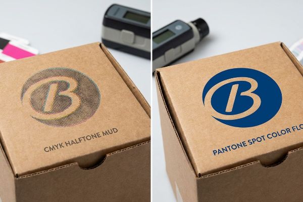 Brown corrugated box comparing a muddy CMYK Halftone Mud logo with a vibrant Pantone Spot Color Flood logo.