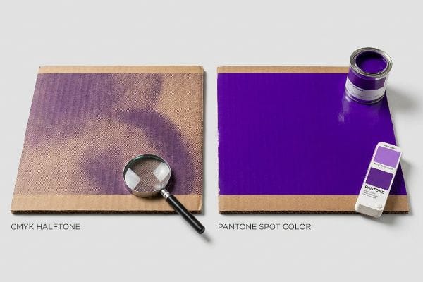 Two corrugated cardboard sheets compare printing methods: CMYK Halftone with a magnifying glass showing dot patterns, and vibrant Pantone Spot Color with a paint can and swatch.