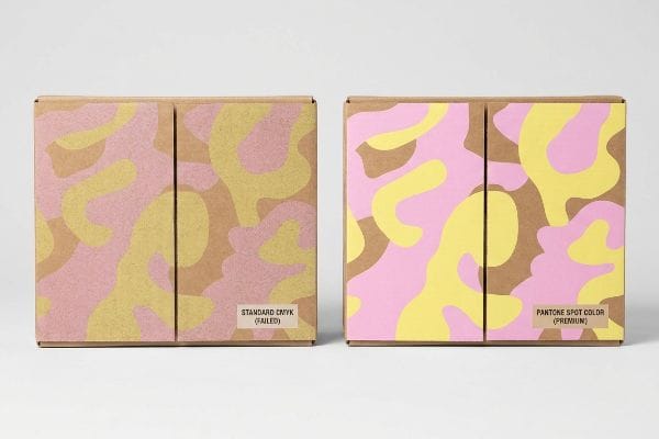 Two corrugated cardboard boxes display pastel camouflage patterns, comparing Standard CMYK (Failed) with Pantone Spot Color (Premium) vibrancy.