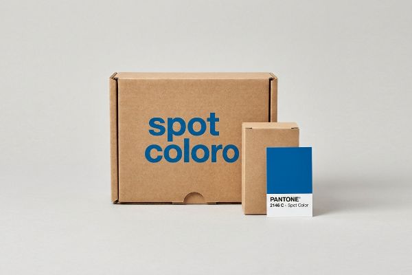Two brown corrugated boxes, one branded 'spot coloro', with a Pantone 2146 C spot color swatch, demonstrating consistent packaging printing.