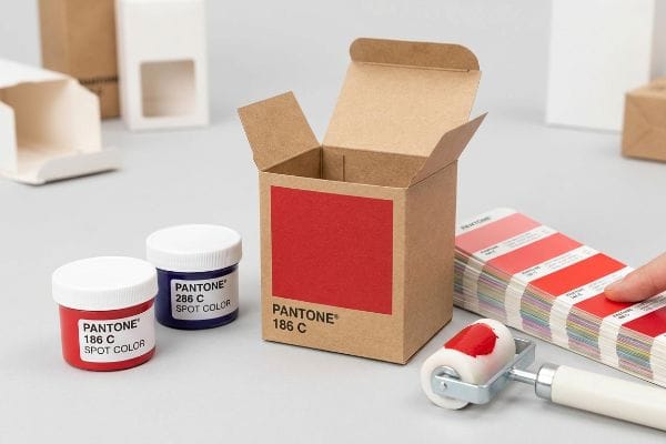 Demonstrating spot color, a brown box with Pantone 186 C label, two Pantone ink jars, and a red color swatch book.