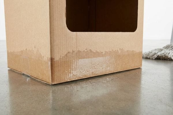 Wet Cardboard Box Base Brown corrugated cardboard box base absorbing floor moisture, showing water damage and a wet, unsealed testliner.