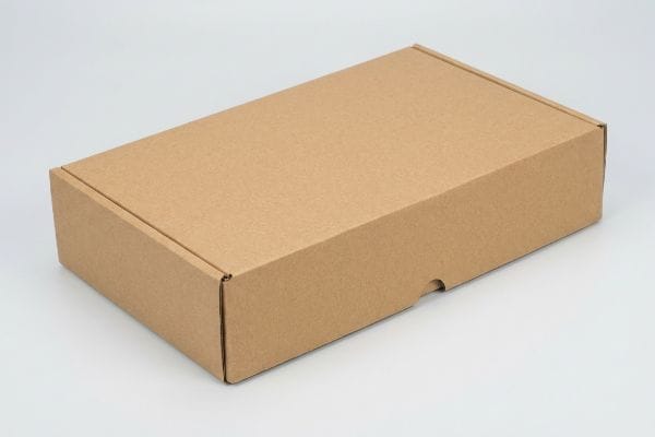 Blank Corrugated Mailer Box A minimalist unprinted brown corrugated mailer box, featuring a self-locking roll-end tuck-top design, sits on a light background.