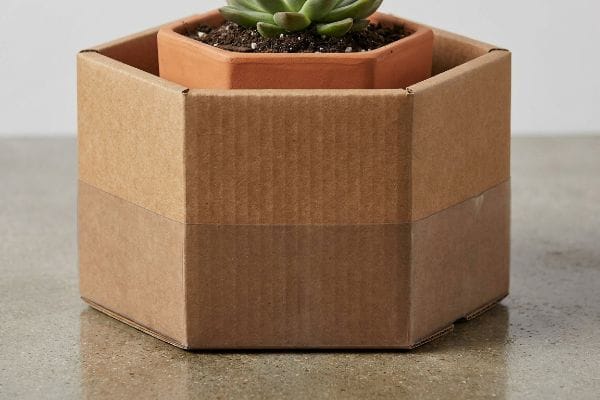 Cardboard Hexagon Planter Hexagonal corrugated cardboard box housing a terracotta pot with a green succulent plant, illustrating moisture protection.
