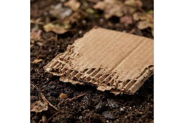 Biologisch abbaubarer Boden aus Wellpappe Ein Stück feuchte Wellpappe mit sichtbaren Wellen liegt auf dunklem Boden und veranschaulicht ihre biologische Abbaubarkeit.