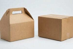 What Are the Benefits of Gable Boxes over Regular Packaging Boxes?