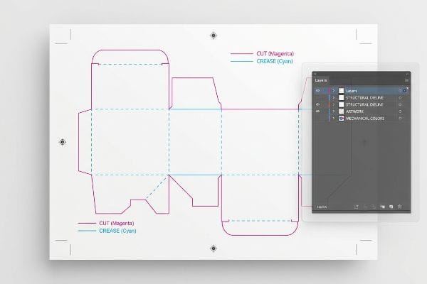 Packaging Dieline Mechanical Colors White paper shows a box packaging dieline with Cut (Magenta) and Crease (Cyan) mechanical spot colors, plus a Layers panel for structural design.