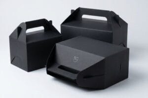 ¿Qué son las cajas negras con tejado a dos aguas?