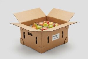 Moisture Resistant Fruit Shipper