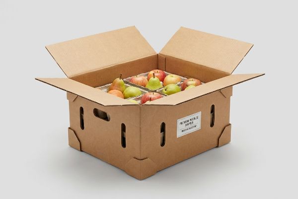 Create Custom Fruit Shipping Boxes Quick and Easy